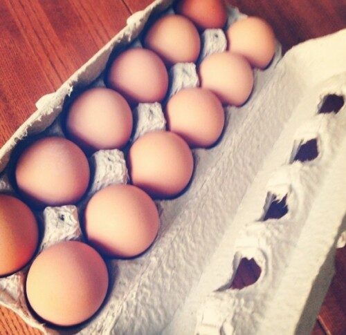 hauser eggs