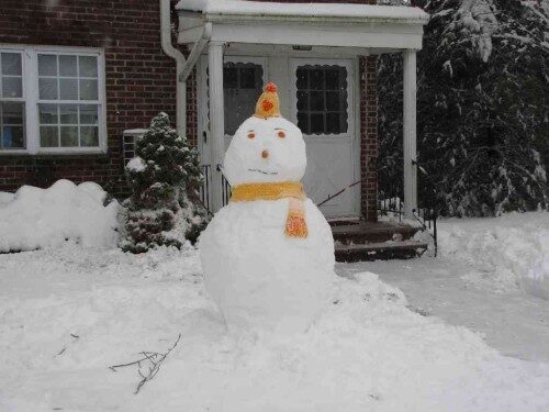 rb-snowman-020314-7-500x375-3385551