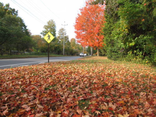 fh-autumn-colors-102016
